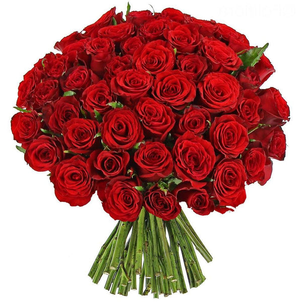 Mazzo 50 rose rosse “Esplosione D’amore”
