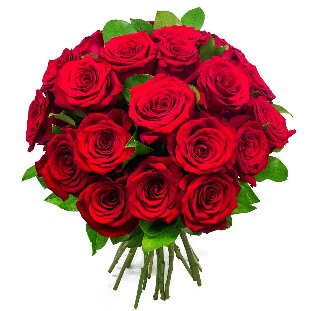 Mazzo 25 Rose Rosse