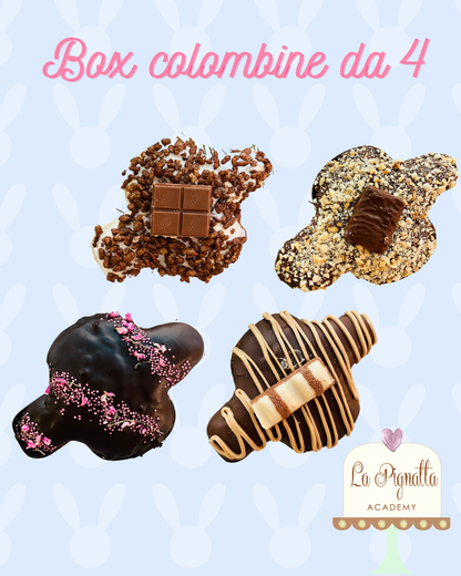 Box Mini Colombine da 4